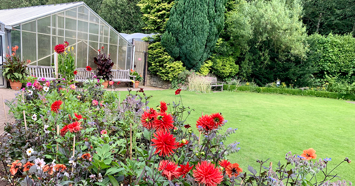 View of different coloured flowers outside the greenhouse at Durham University's Botanic Garden